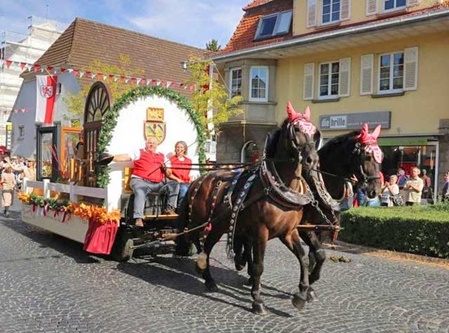 magnusfestwagen schreinere mayerfoels